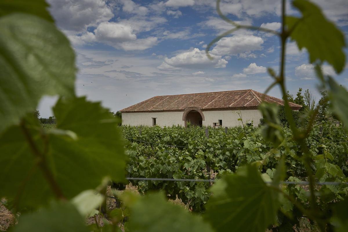 La Mejorada (Tierra Castilla y León)