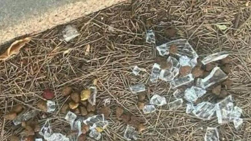Alerta en Museros por comida con cristales para perros: la Policía Local busca al responsable