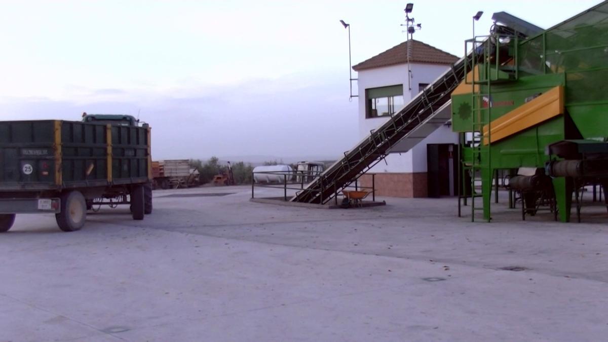 Instalaciones de la SAT Virgen de la Oliva.