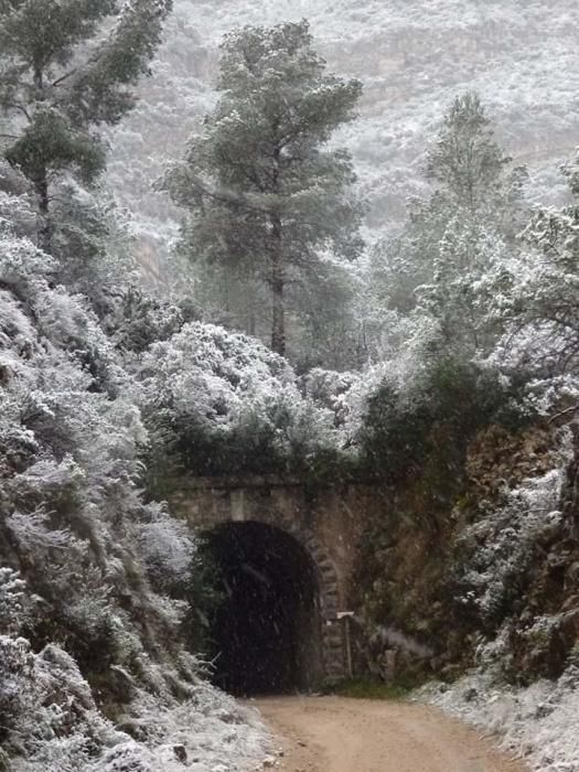 Efectos del temporal en la Safor