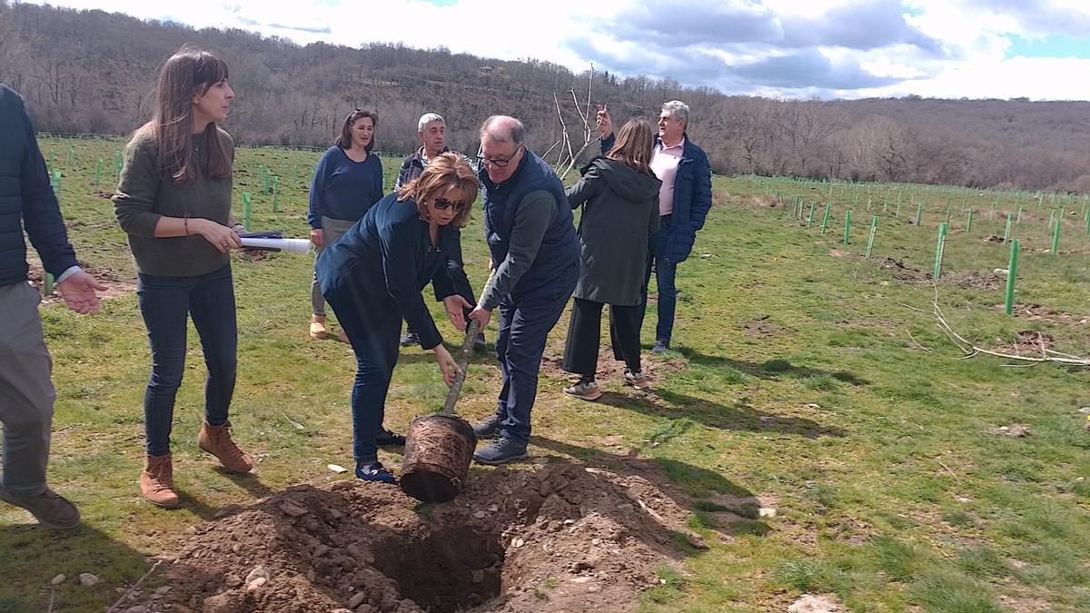 Trefacio acoge el primer bosque de Alimerka en Castilla y León