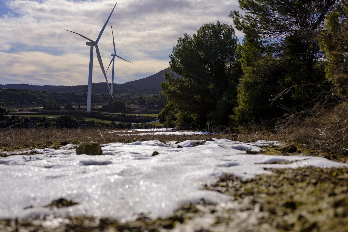 ODS 15. Forestalia implanta medidas para preservar los ecosistemas en las zonas donde desarrolla sus proyectos.