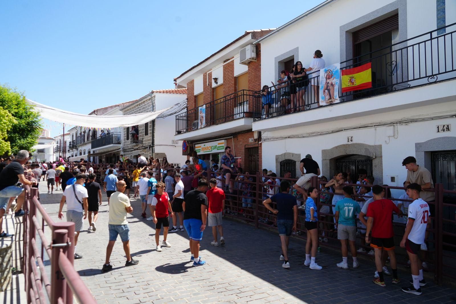 Alcaracejos vive con intensidad el inicio de sus tradicionales encierros de vaquillas