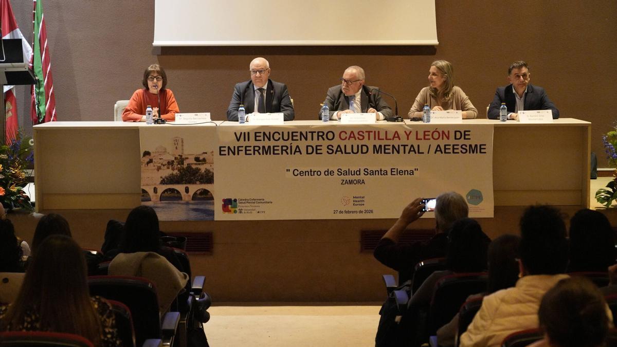 encuentro de Enfermería de Salud Mental Aeesme Castilla y León. E