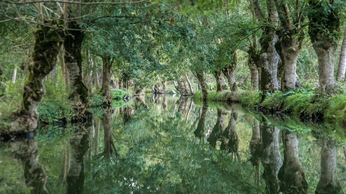 Cognac, Francia