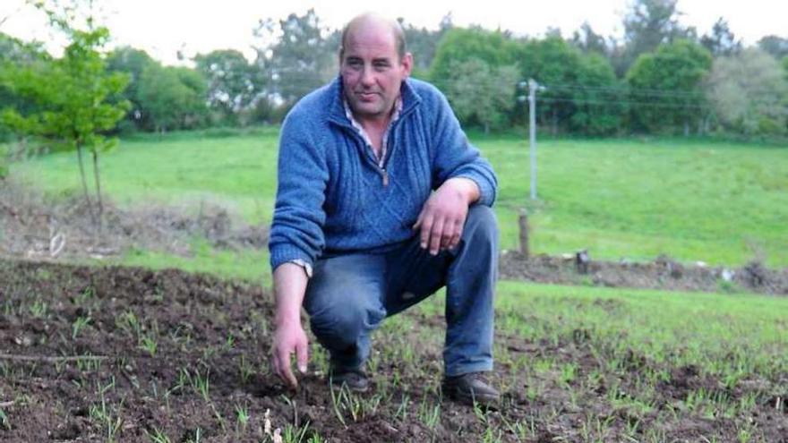 José M. Oro muestra los daños en su finca de A Veiga. // Bernabé/J.Lalin