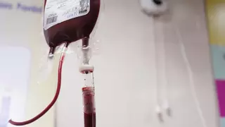¿Descubierta la clave para la producción de sangre artificial?