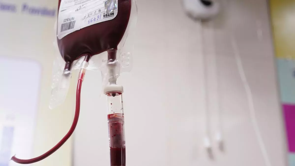 ¿Descubierta la clave para la producción de sangre artificial?