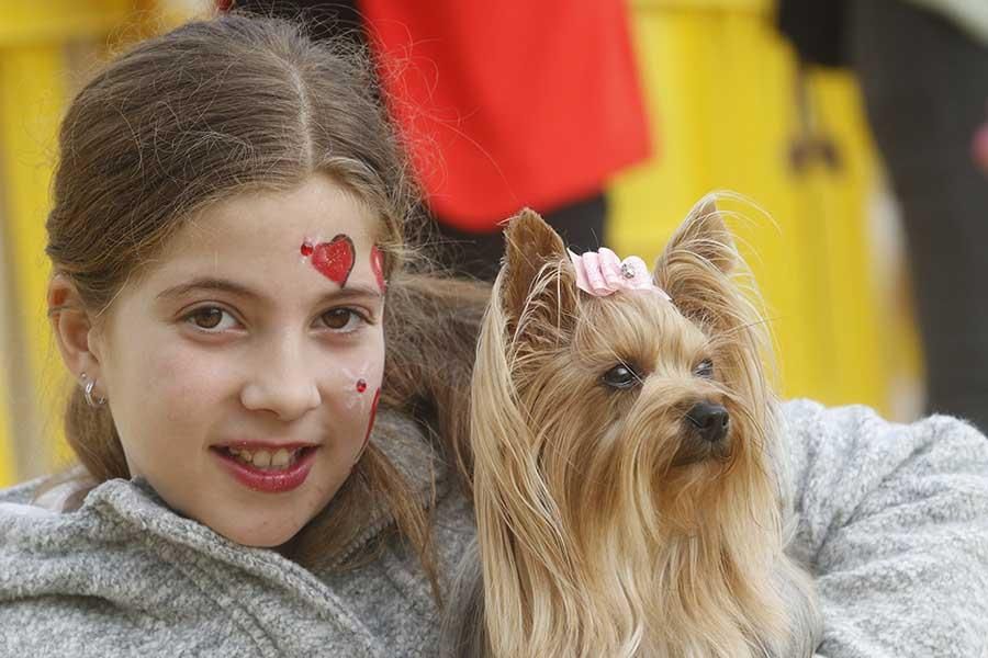 Una día muy perruno en la Canicross de Córdoba