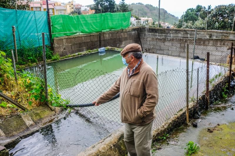 El agua caída con filomena beneficia al campo aruquense