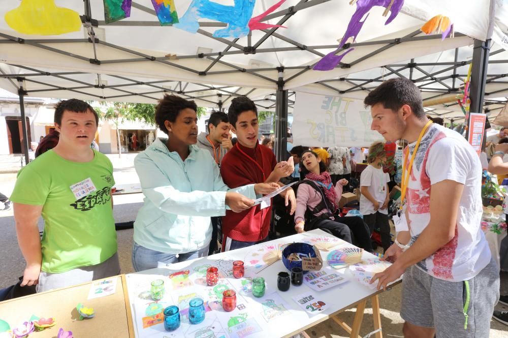 Doce centros educativos de Ibiza y Formentera mostraron ayer sus proyectos en una actividad impulsada por el IDI, en apoyo al emprendimiento juvenil