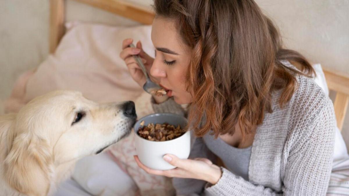 Donar aliments saludables per nosaltres, no és cuidar la nostra mascota