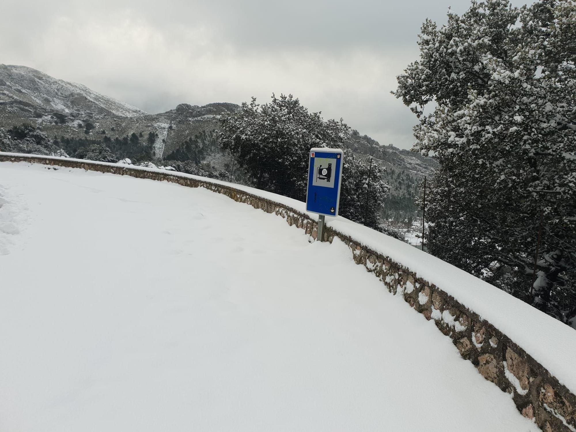 Mallorca registra la mayor nevada en cinco años