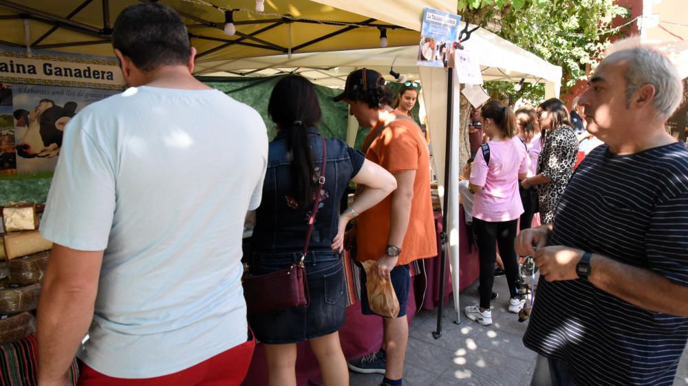 XV Feria Gastronómica de Muro