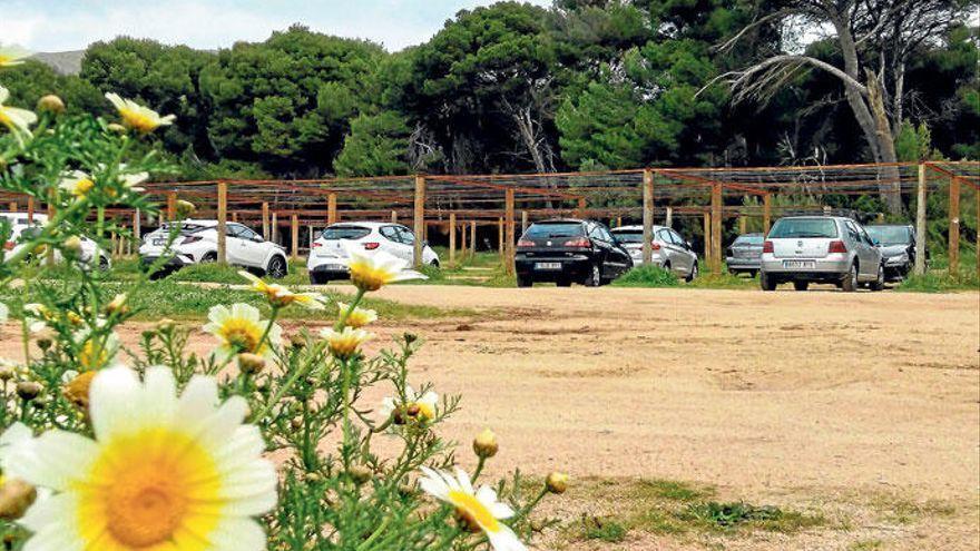 Das Parkplatz-Problem an der beliebten Bucht Cala Agulla auf Mallorca ist gelöst