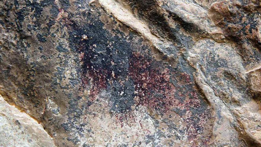Un ciervo oculto 8.000 años en Pego