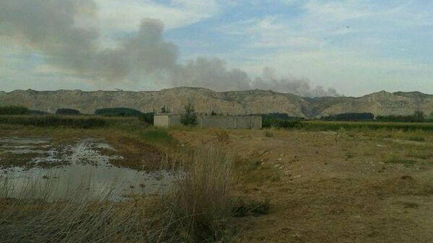 Un nuevo incendio calcina cerca de 40 hectáreas en San Gregorio