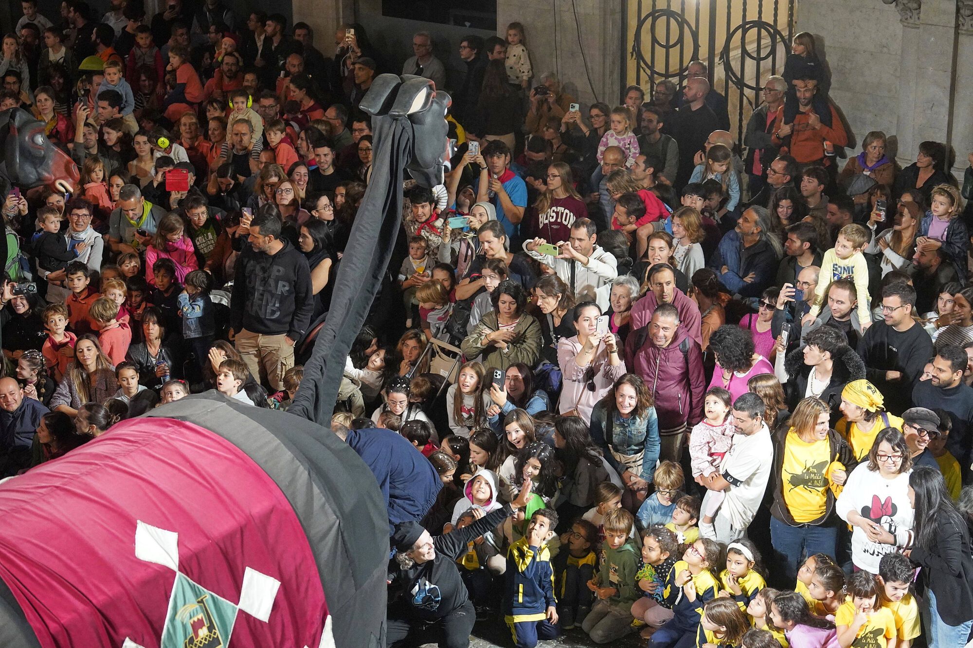 Les fotos del pregó del Galliner a les Fires de Girona