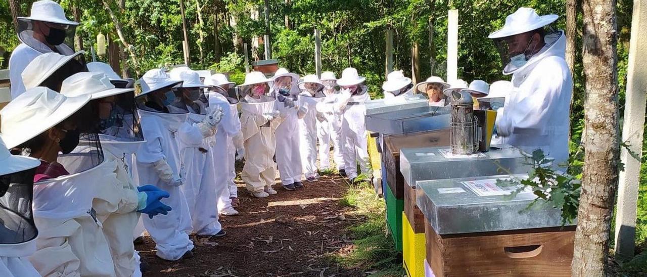 Escolares de O Rosal, durante una visita a los colmenares de Apicultura Niño do Corvo.   | // FDV