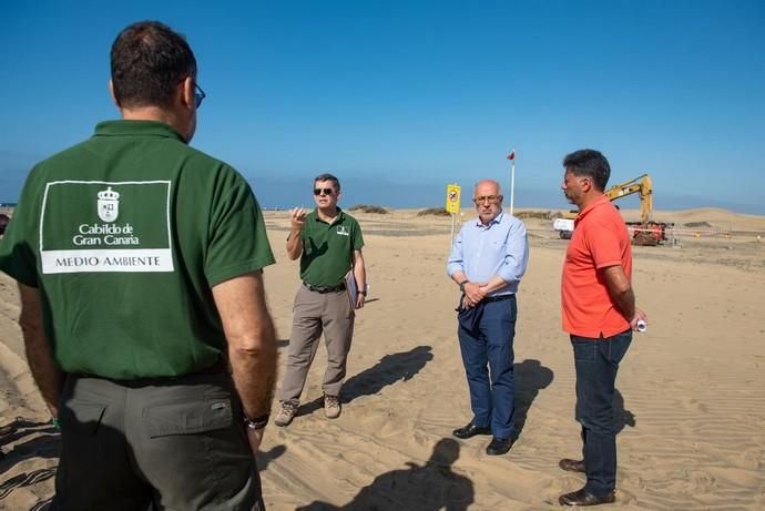 Segunda fase del proyecto de recuperación de las dunas de Maspalomas