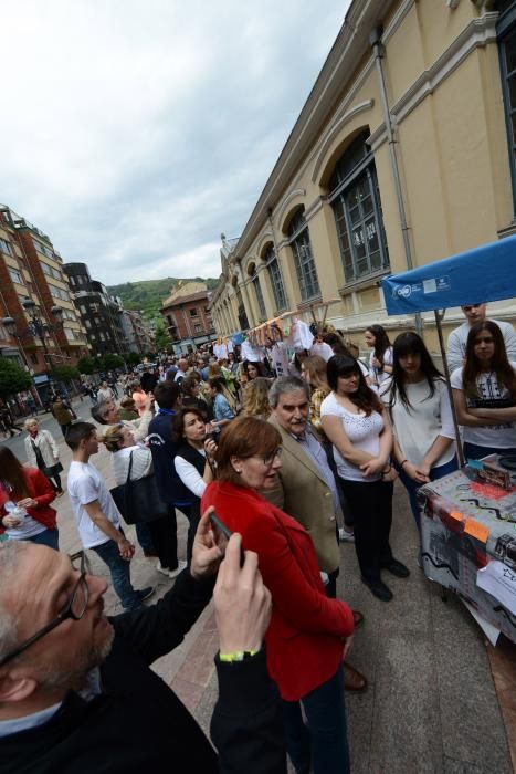 Mercado de Cooperativas en Mieres