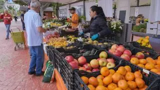 La pobreza cae  en Canarias, pero aún afecta a un tercio de la población