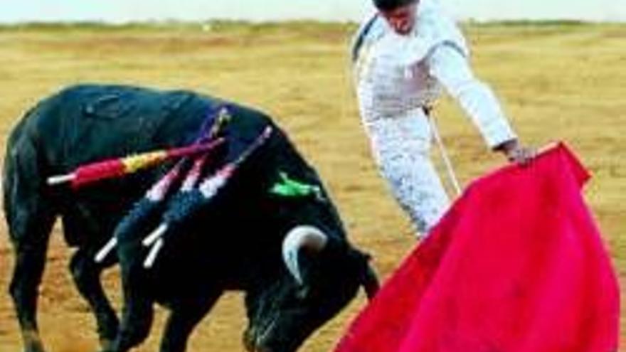 En Rafael Cerro hay un torero