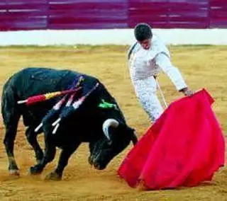 En Rafael Cerro hay un torero