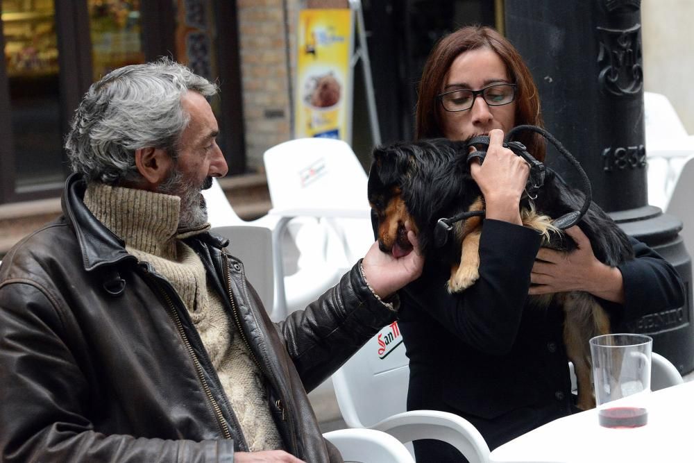 "Trasgu" encuentra una nueva familia