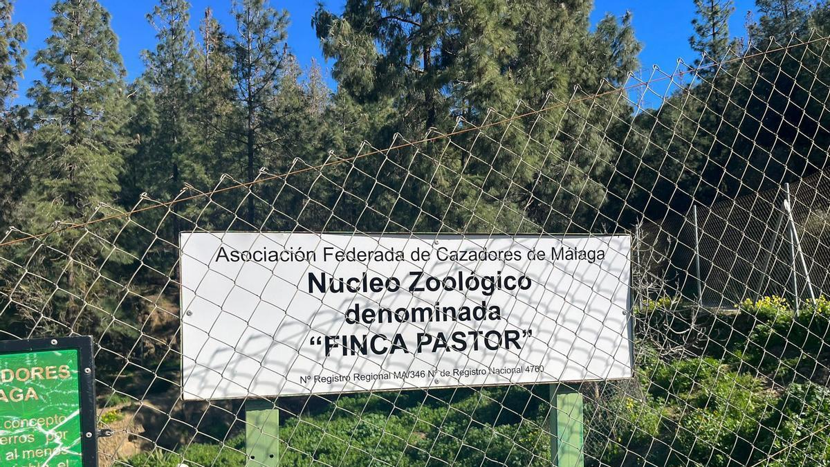 Asaltan las perreras de la Sociedad de Cazadores de Málaga: 45 perros de caza robados y multitud de utensilios