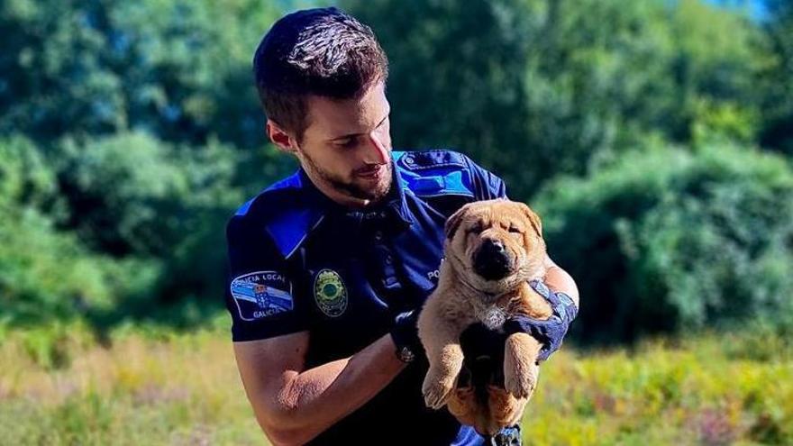 El perrito, sano y salvo, después de ser rescatado en O Carballiño.