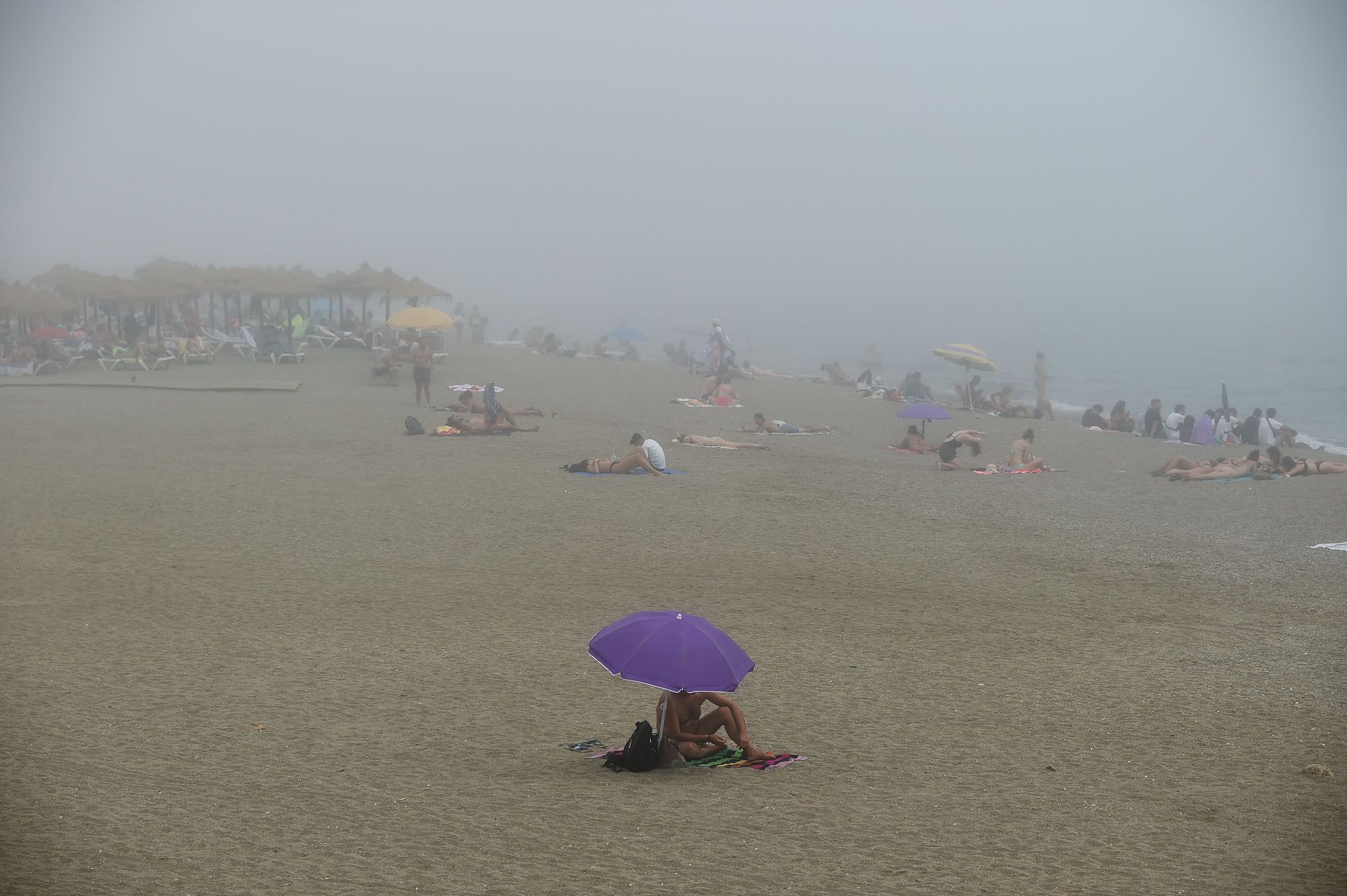 El taró cubre el litoral de Málaga