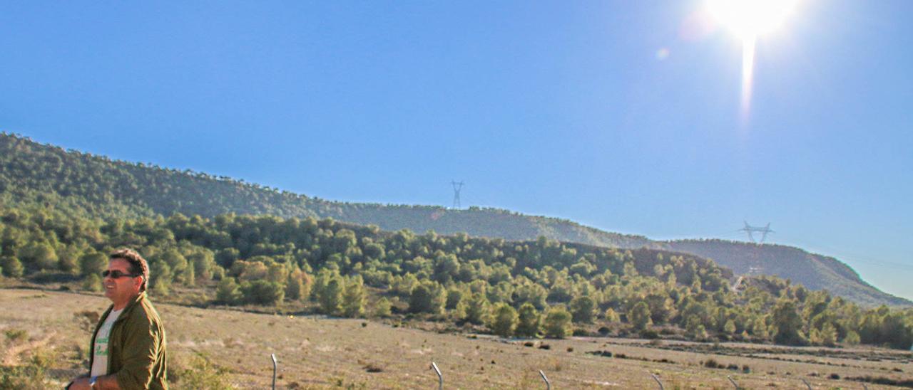 Umbría de Sierra Escalona junto a la que se ubica la subestación eléctrica en la que las empresas de renovables quieren conectar la generación de energía de los proyectos que han presentado