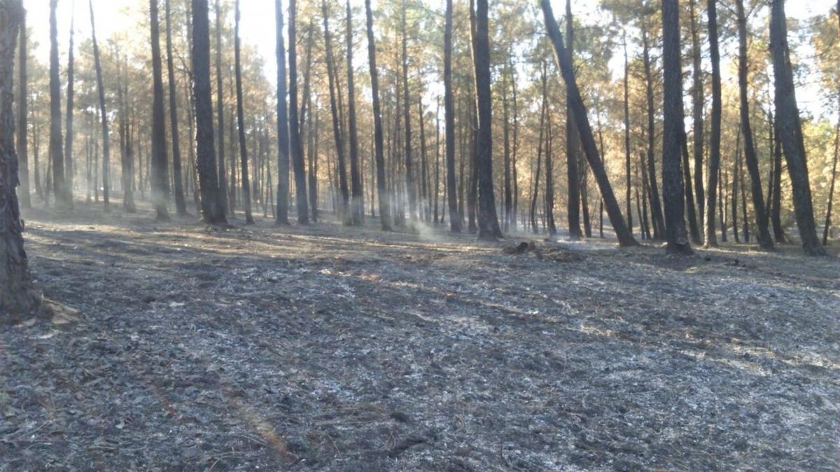 El TSJEx exime a la Junta de pagar al dueño de una vivienda arrasada en el incendio de Gata