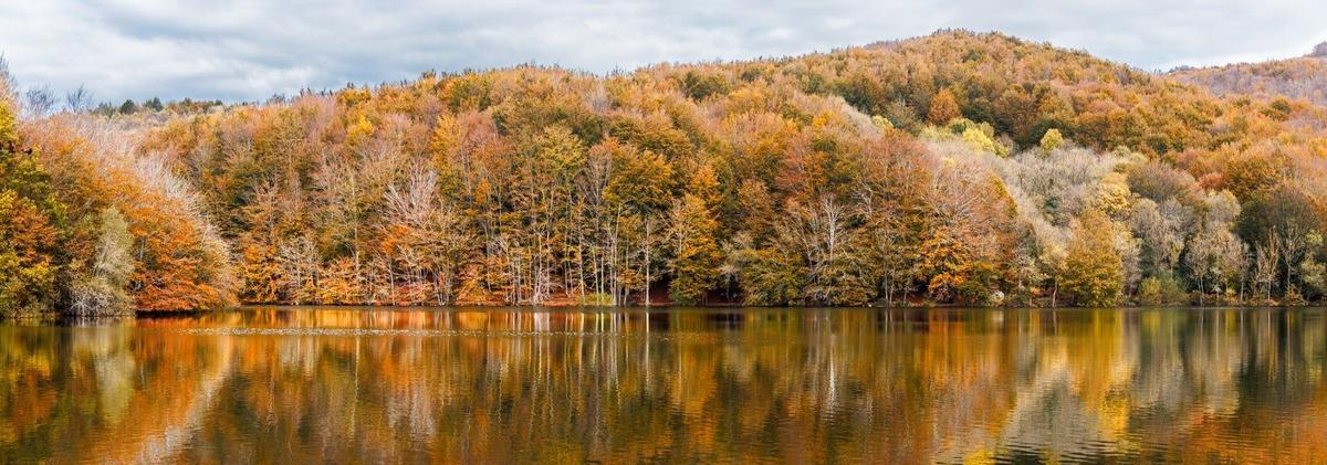 Parque Natural del Montseny, Cataluña