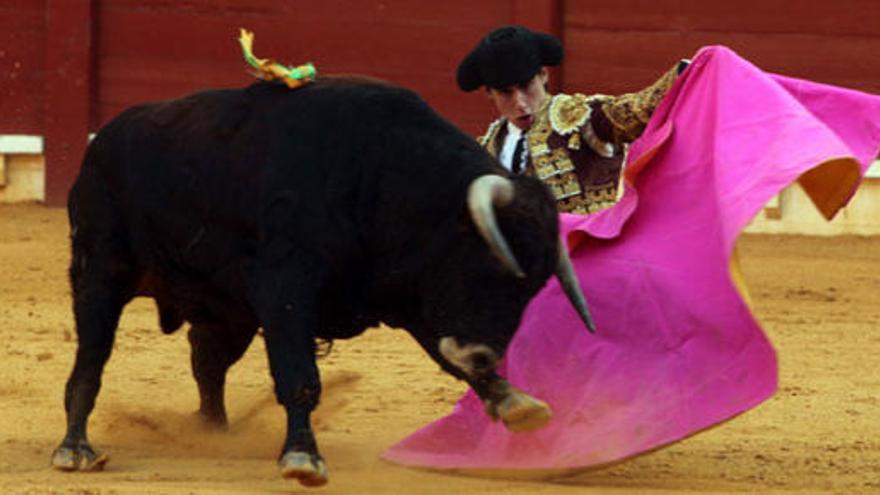 ¿Volverán los toros a TVE?