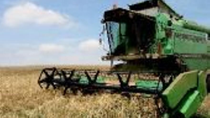 Las cosechadoras comienzan a recoger el trigo de la provincia