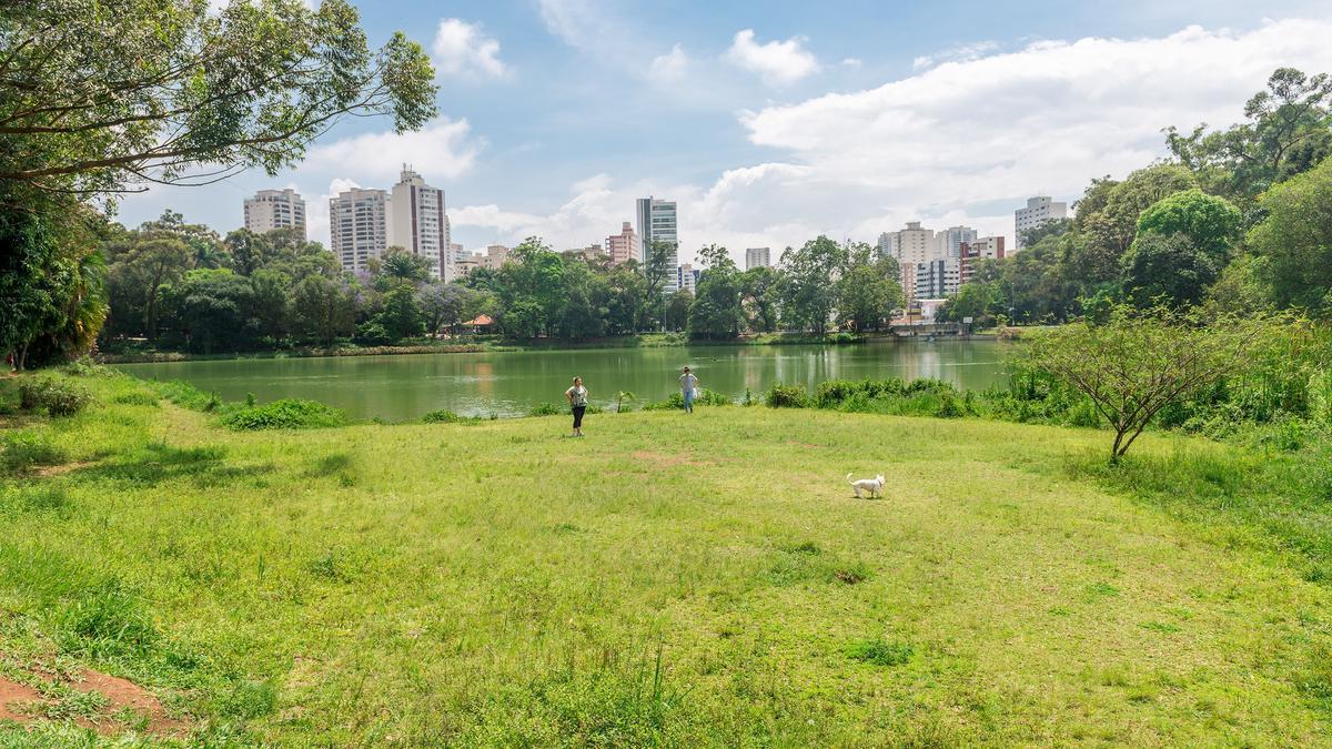 Parque en Sao Paulo. Los entornos urbanos pueden acoger también espacios de conexión con la naturaleza.