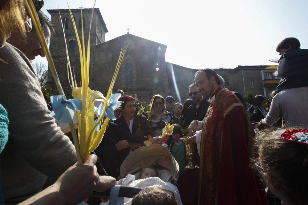 Domingo de Ramos en Avilés