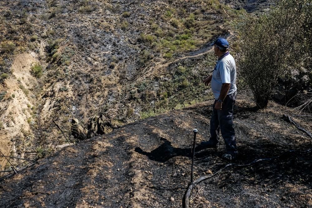 Tejeda tras el incendio