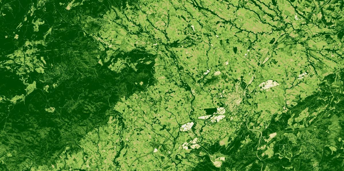 El Alt Penedès, el 11 de mayo del 2024, en una imagen de satélite NDVI, que muestra, a más color verde, más estado saludable de la vegetación.