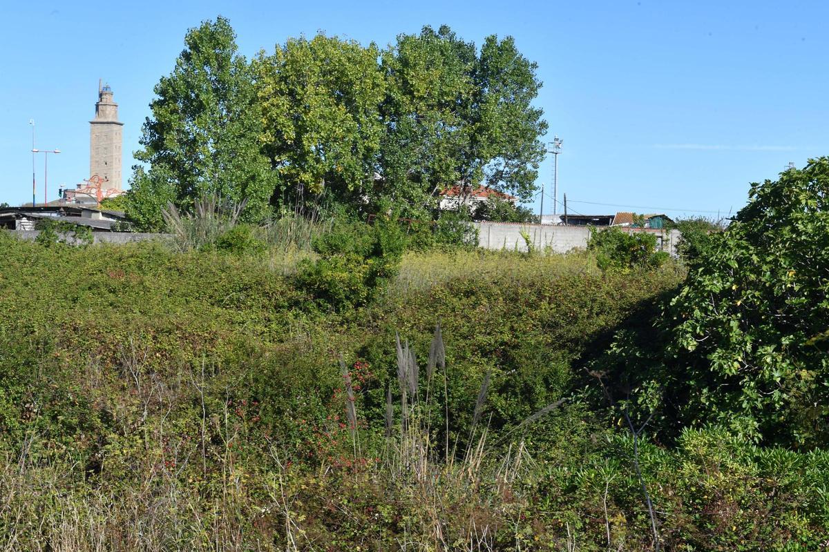 Terrenos del Agra de San Amaro, con la Torre de Hércules al fondo.