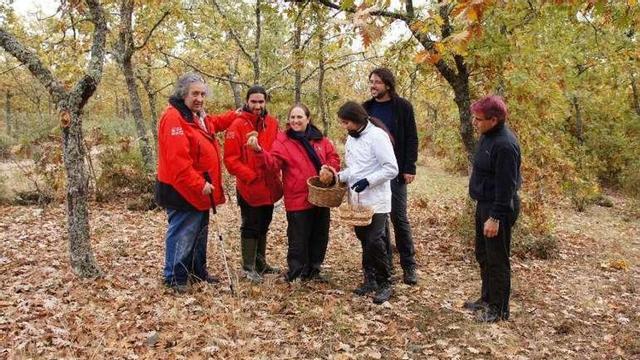Visitantes recogen setas en Rabanales.