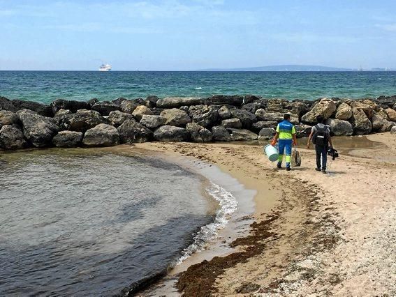 Mitarbeiter der Stadt suchen den Strand vor El Mol