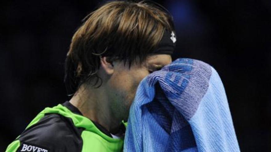 El tenista alicantino David Ferrer.