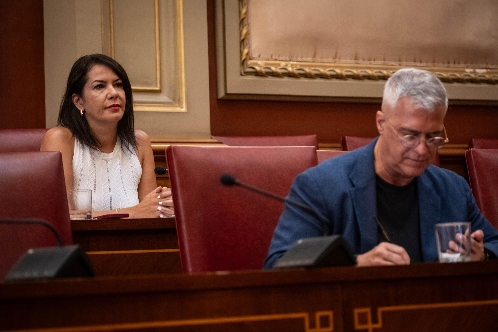 Comisión de control del Ayuntamiento de Santa Cruz de Tenerife