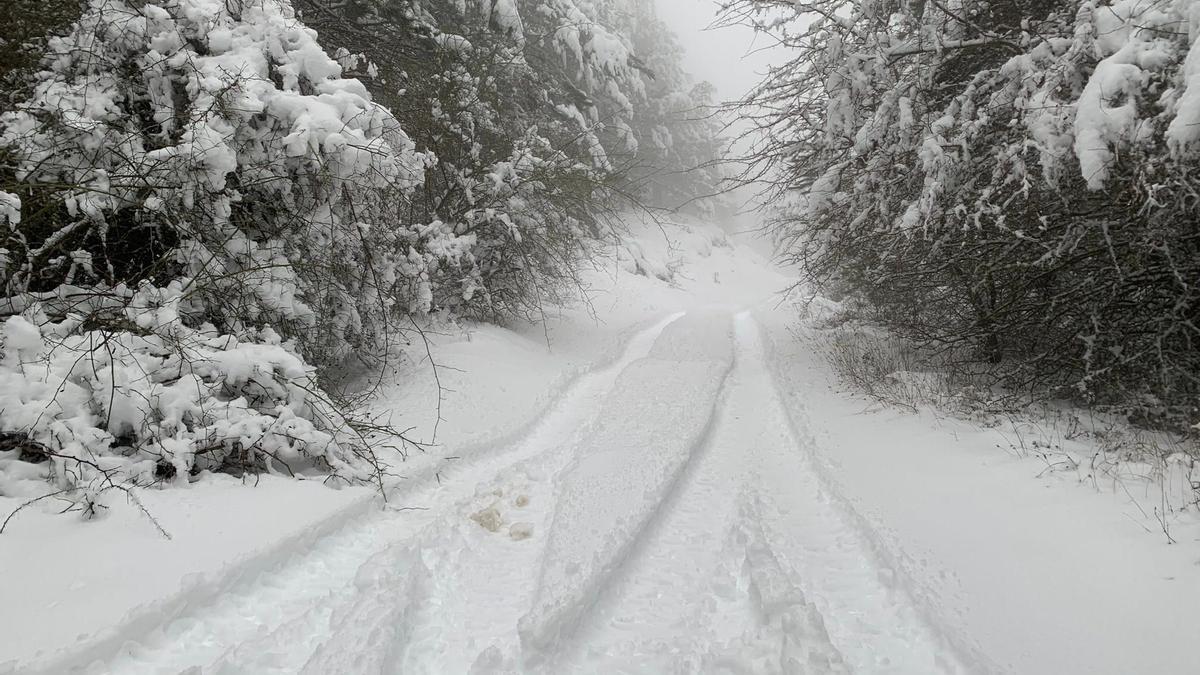 La sierra de Aitana cubierta por la nieve.