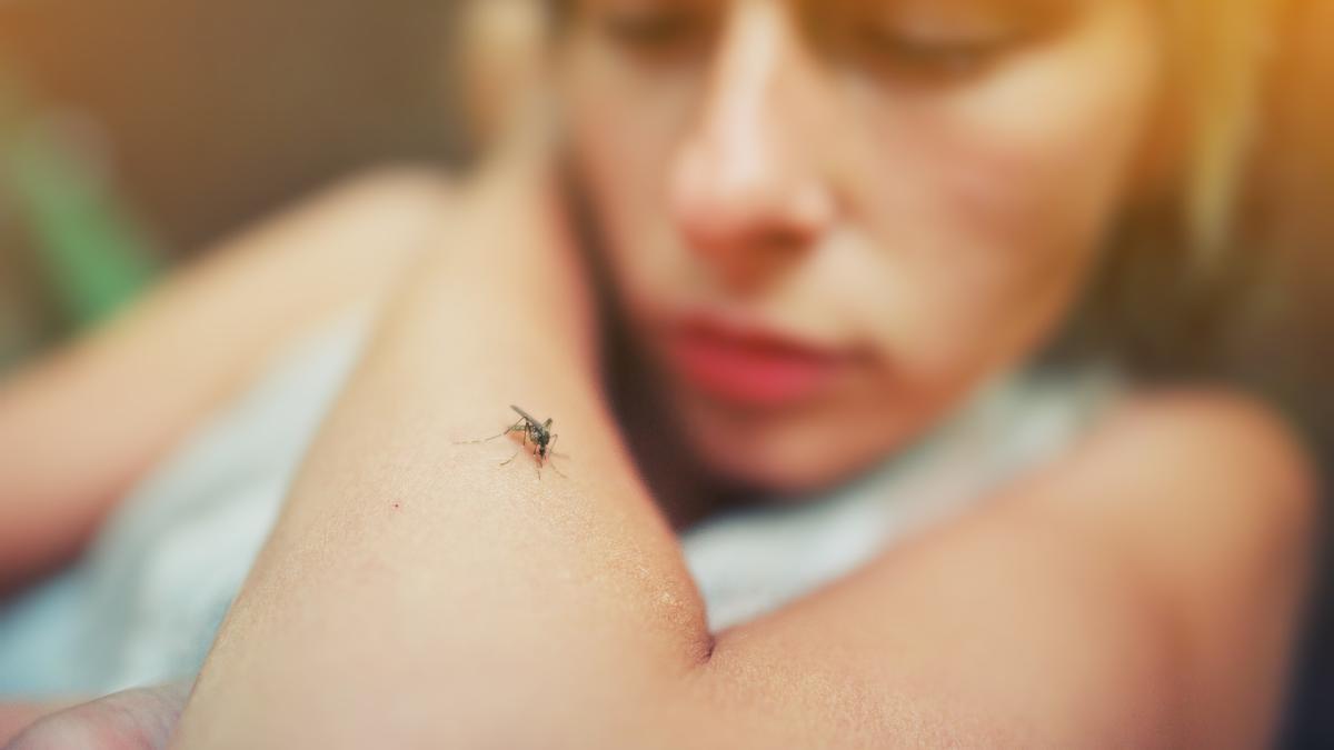 Los mosquitos dejan picaduras muy molestas en verano.