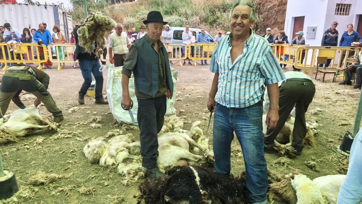 Félix Medina y Pepe Medina, con las tijeras en la mano para trasquilar a sus ovejas.