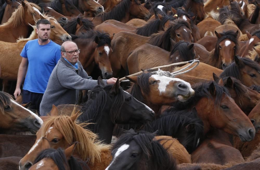 El primer curro de la temporada marca 270 caballos ante más de un millar de espectadores en Oia